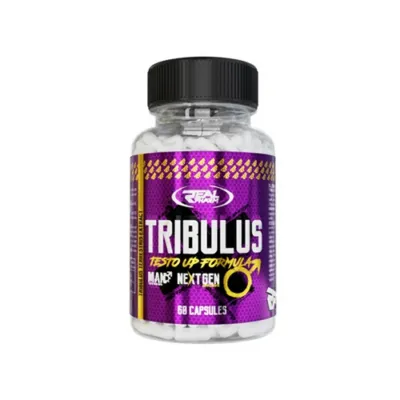 f7uleea481685kpR0KS6lts1swhCZUM7H0cr0MgZkZ2tUHvcIM